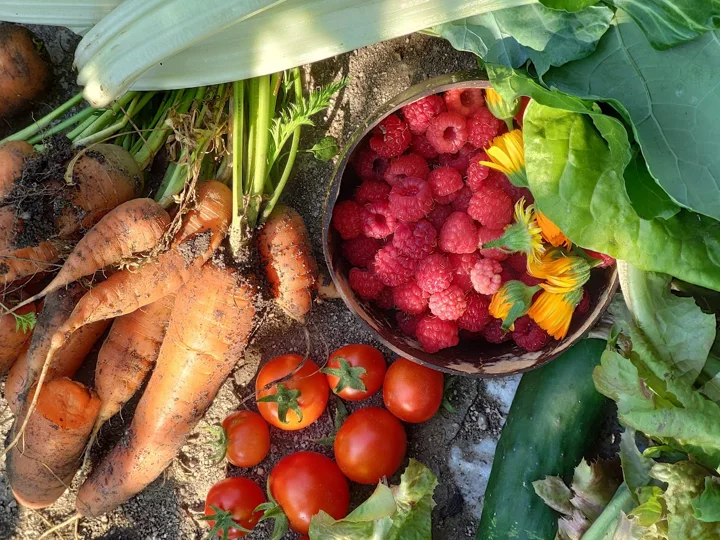 Harvest from the garden beside the atelier