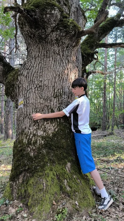 Nella natura — foto 06 dall’album personale di PAGANE