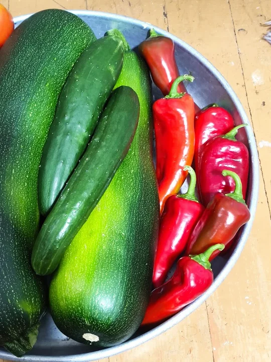 Il nostro giardino — foto 15 dall’album personale di PAGANE