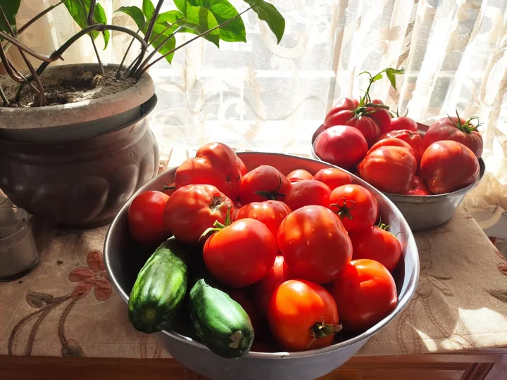 Il nostro giardino — foto 14 dall’album personale di PAGANE