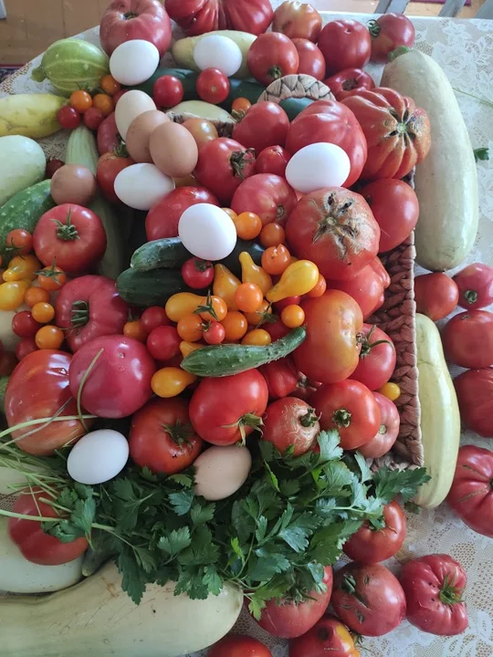 Il nostro giardino — dall’album personale di PAGANE