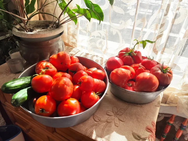 Il nostro giardino — foto 13 dall’album personale di PAGANE
